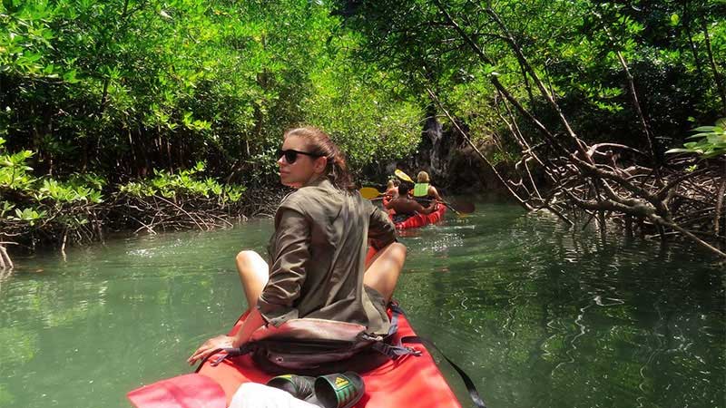 Kayaking around the beautiful mangrove forests-min
