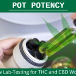 Pot Potency