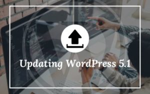 Updating WordPress 5.1