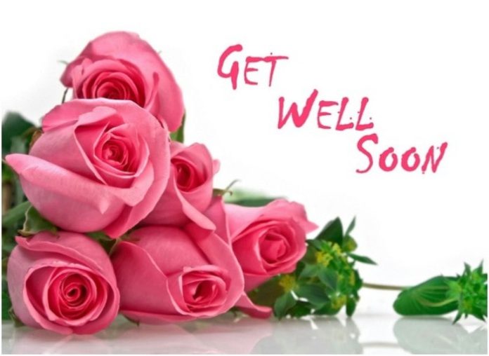Top 8+ Fresh Get Well Soon Roses for Fast Recovery - Trionds